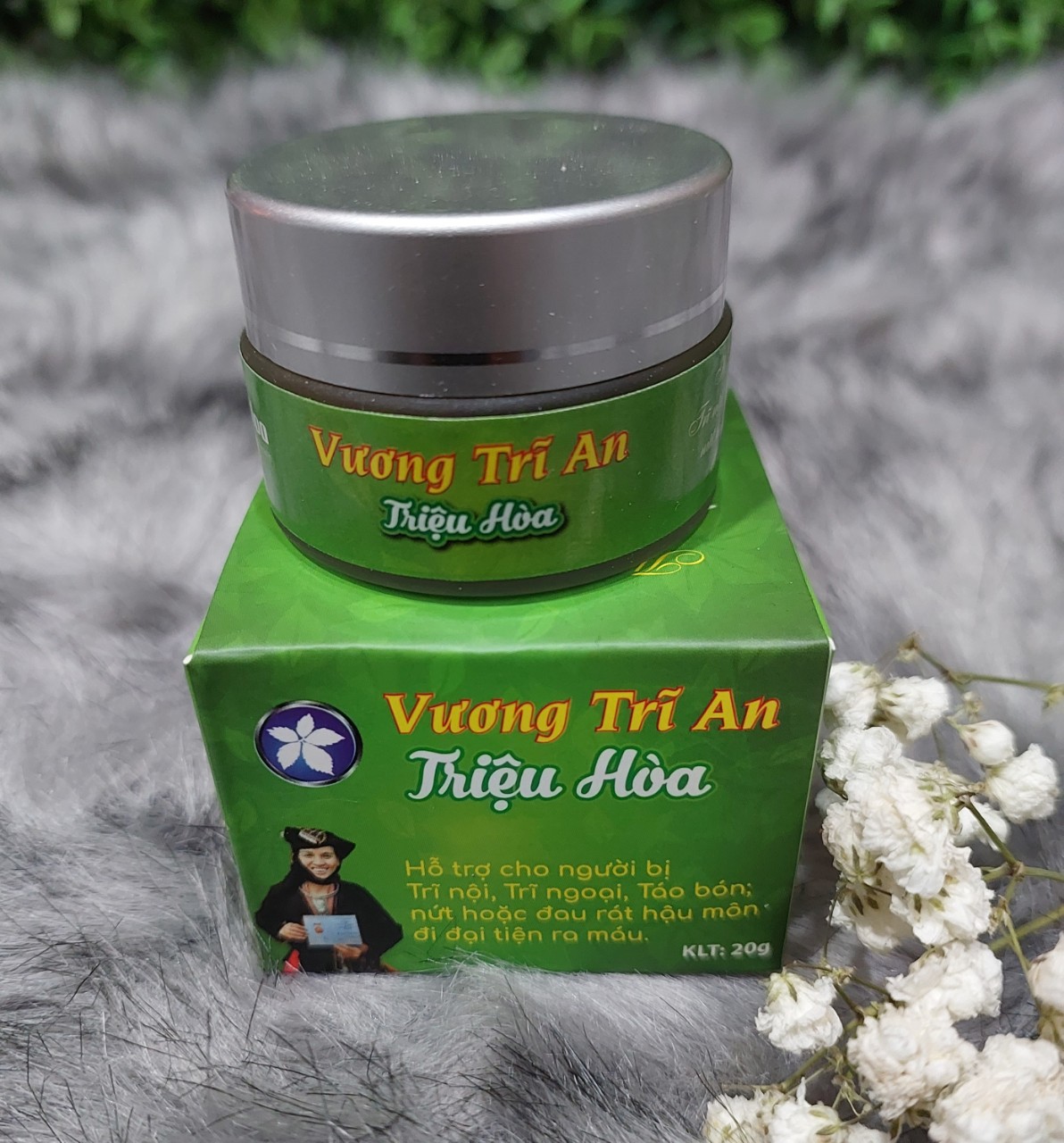 VƯƠNG TRĨ AN TRIỆU HOÀ