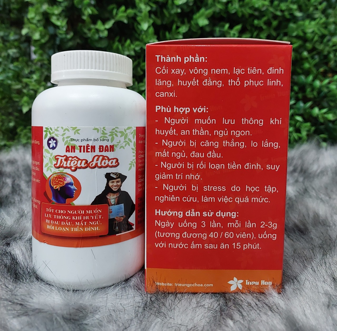 AN TIÊN ĐAN TRIỆU HOÀ