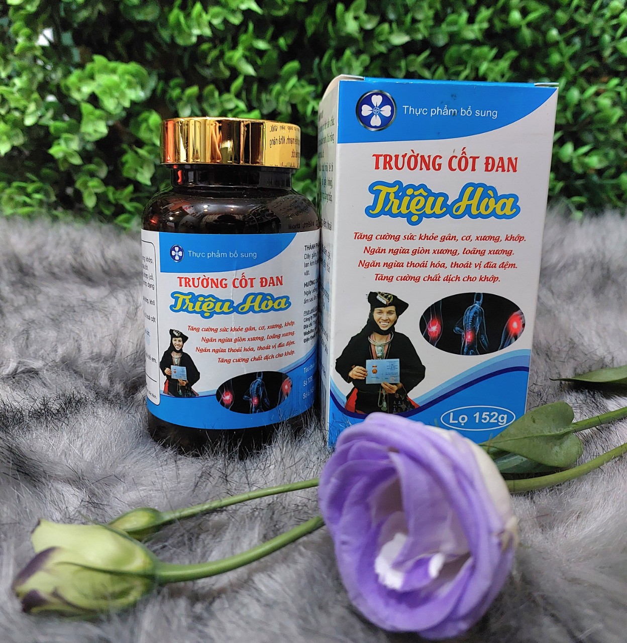 Trường Cốt Đan Triệu Hòa